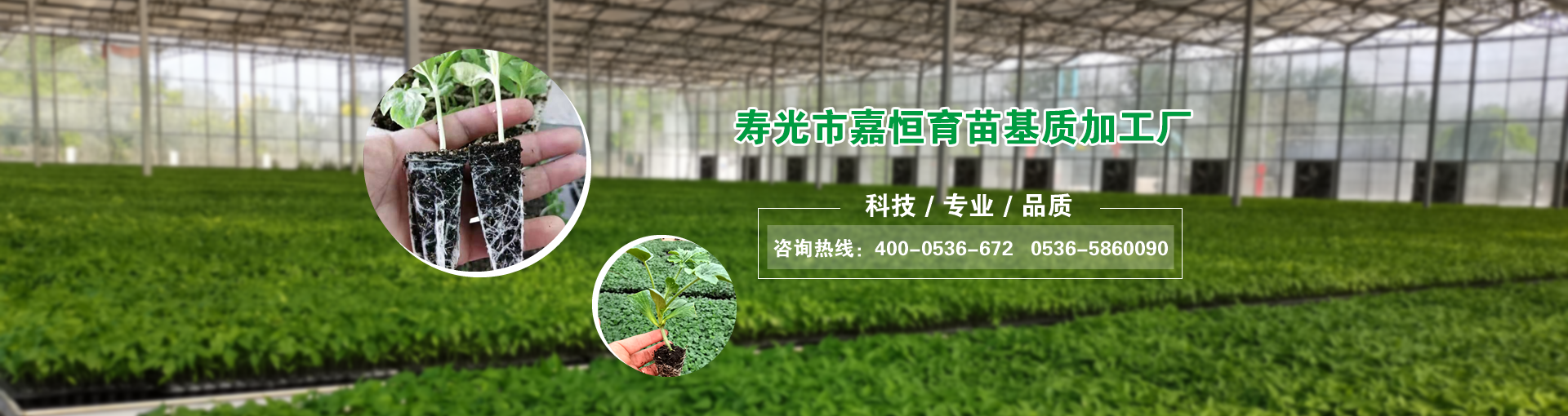 ������|_�o������_�M����̿_�۹�κ�������|�ӹ��S